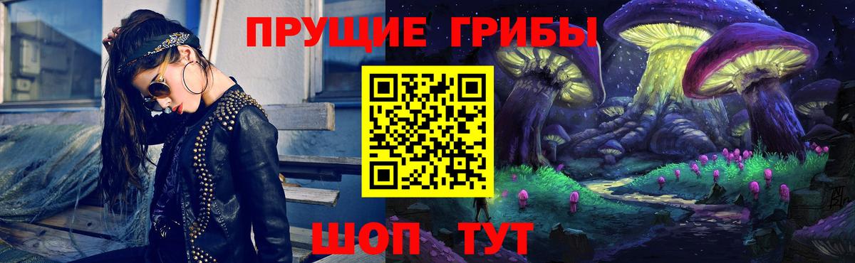 Псилоцибиновые грибы Psilocybine cubensis Старая Купавна